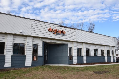 Dogtopia Milford